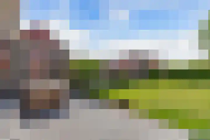 It Hynstewaed 4 Easterlittens thumbnail 5