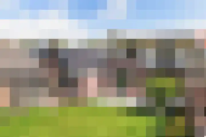 It Hynstewaed 4 Easterlittens thumbnail 52