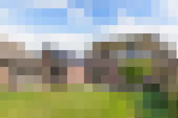 It Hynstewaed 4 Easterlittens thumbnail 59