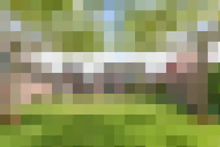 It Hynstewaed 4 Easterlittens thumbnail 60