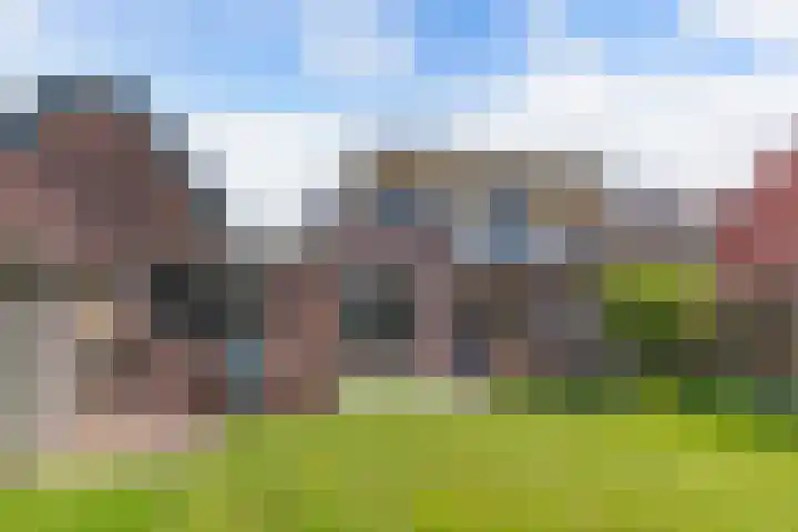 It Hynstewaed 4 Easterlittens thumbnail 62