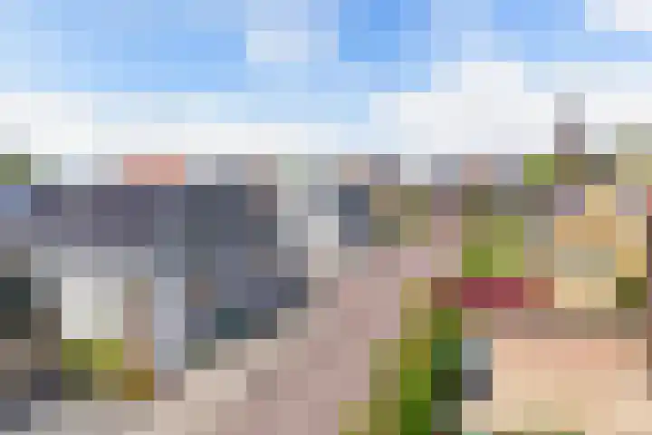 It Hynstewaed 4 Easterlittens thumbnail 65