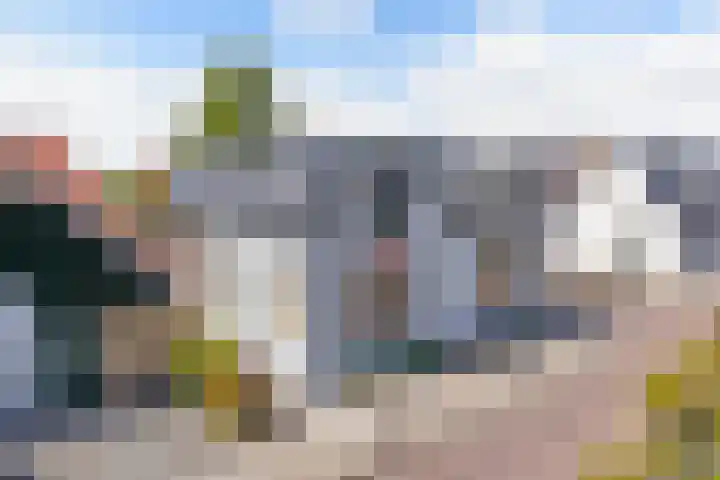 It Hynstewaed 4 Easterlittens thumbnail 67