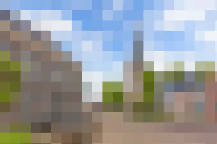 It Hynstewaed 4 Easterlittens thumbnail 71