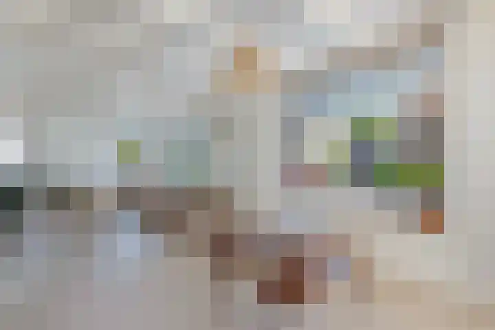 It Hynstewaed 4 Easterlittens thumbnail 9