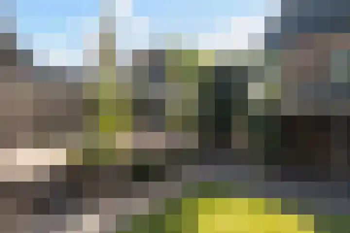 It Kleaster 19 Stiens thumbnail 24