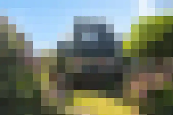 It Kleaster 19 Stiens thumbnail 27