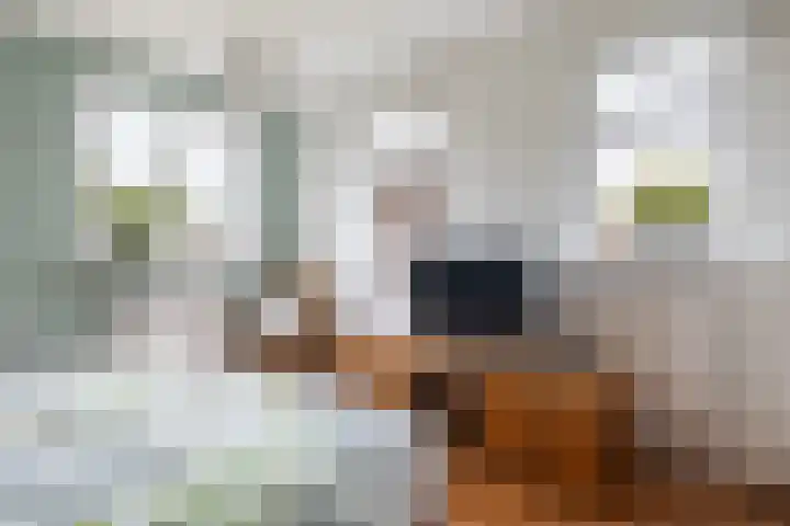 It Kleaster 19 Stiens thumbnail 31