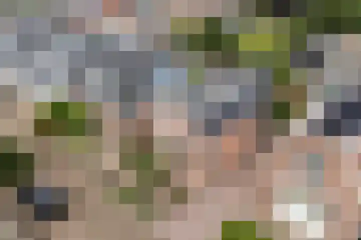 It Kleaster 19 Stiens thumbnail 44