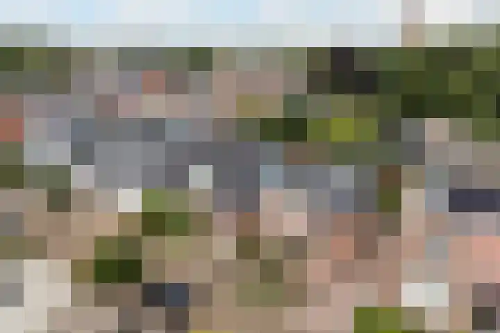 It Kleaster 19 Stiens thumbnail 45