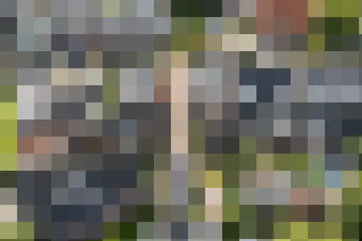 It Kleaster 19 Stiens thumbnail 47