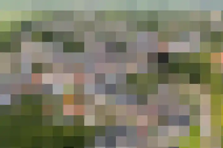 It Kleaster 19 Stiens thumbnail 49