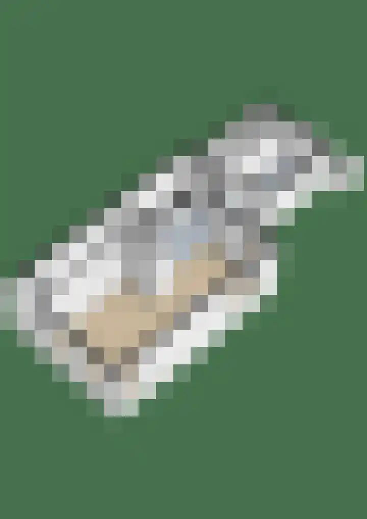 It Kleaster 19 Stiens thumbnail 53