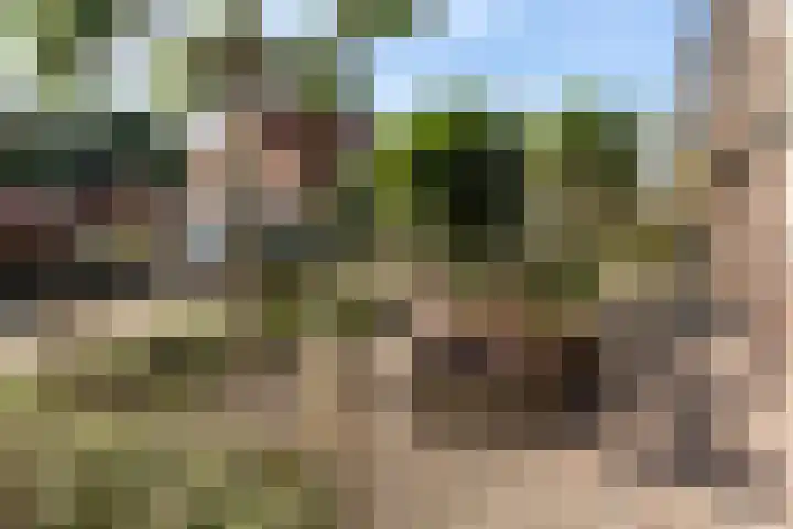 It Kleaster 19 Stiens thumbnail 8
