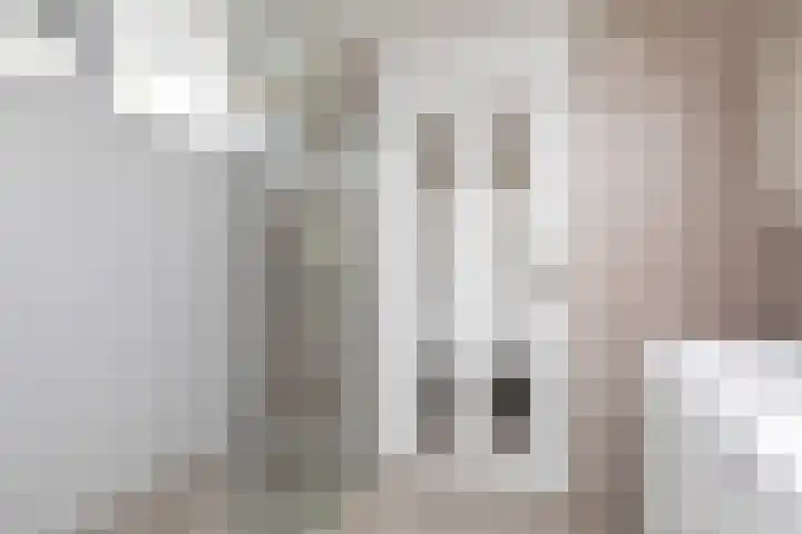 It Klif 2 Bolsward thumbnail 11