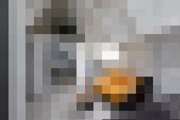 It Klif 2 Bolsward thumbnail 22