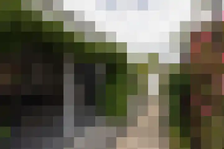 It Klif 2 Bolsward thumbnail 30