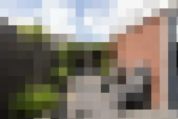 It Klif 2 Bolsward thumbnail 32