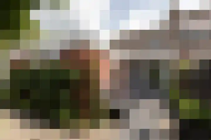 It Klif 2 Bolsward thumbnail 33