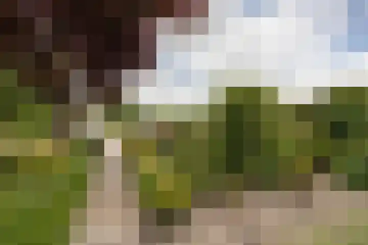 It Klif 2 Bolsward thumbnail 36