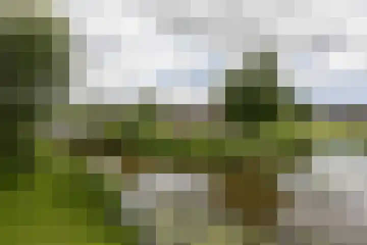 It Klif 2 Bolsward thumbnail 40
