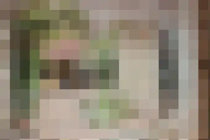 It Krûmdeel 18 Oudega thumbnail 24