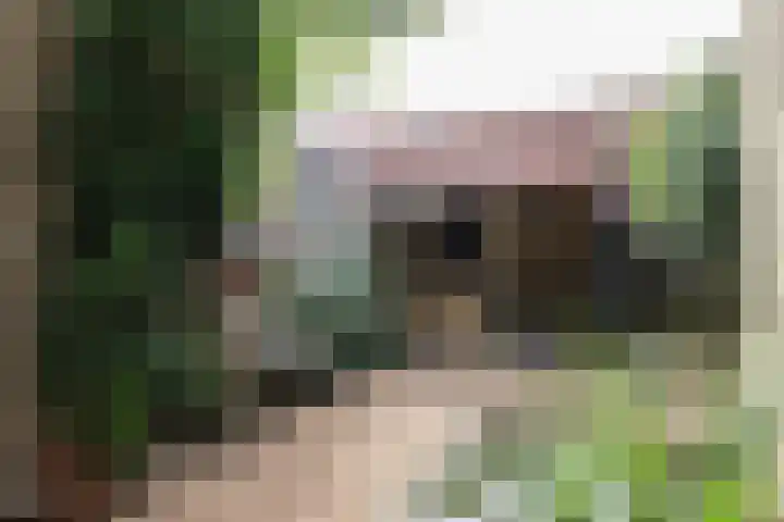 It Krûmdeel 18 Oudega thumbnail 49