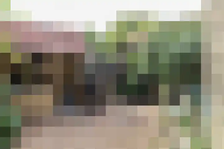 It Krûmdeel 18 Oudega thumbnail 51