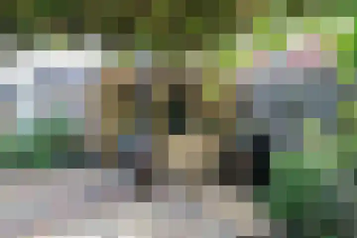 It Krûmdeel 18 Oudega thumbnail 59