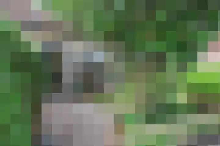 It Krûmdeel 18 Oudega thumbnail 6
