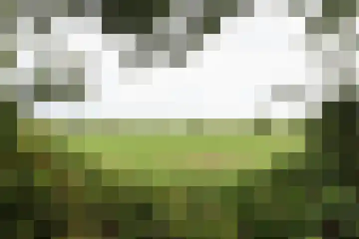 It Krûmdeel 18 Oudega thumbnail 64