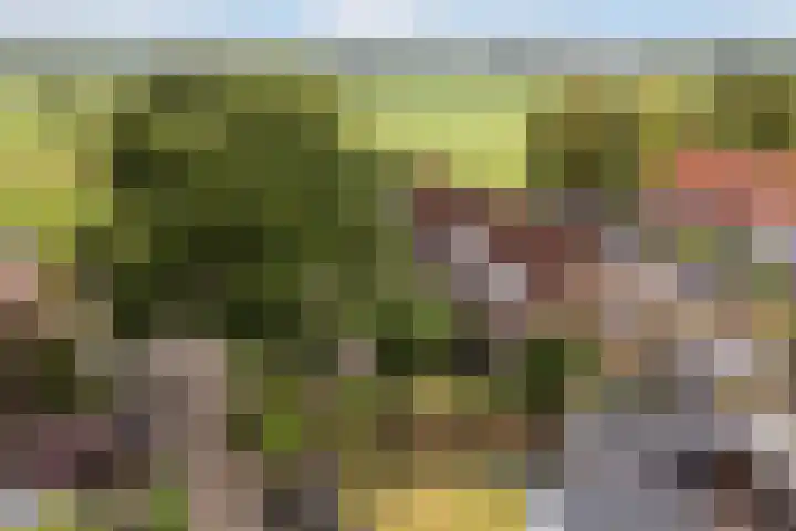 It Krûmdeel 18 Oudega thumbnail 69