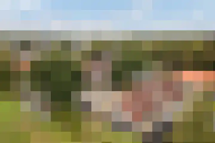 It Krûmdeel 18 Oudega thumbnail 70