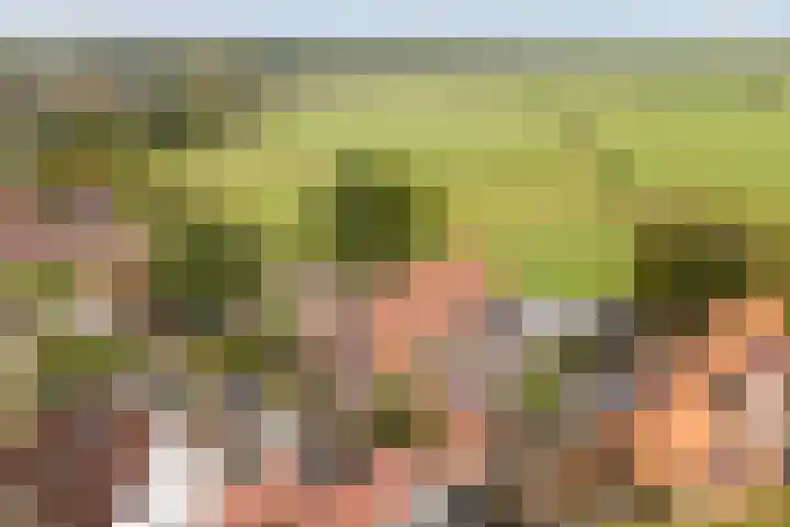 It Krûmdeel 18 Oudega thumbnail 73
