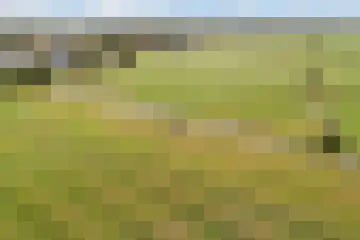 It Krûmdeel 18 Oudega thumbnail 74