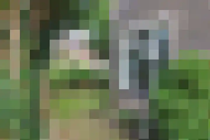 It Krûmdeel 18 Oudega thumbnail 9
