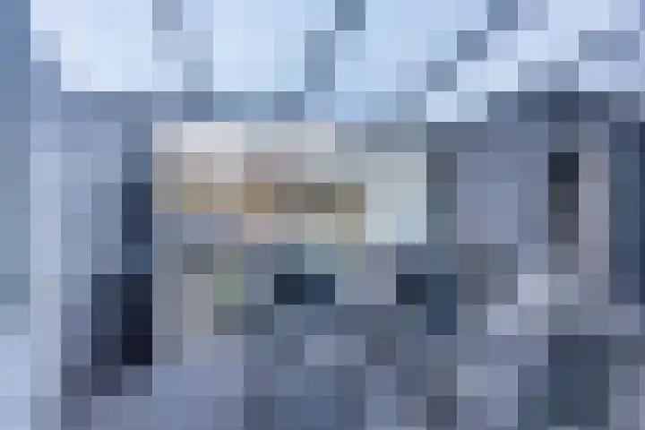 It Leech 12 Zurich thumbnail 15