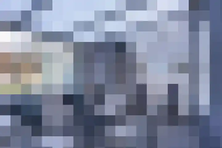 It Leech 12 Zurich thumbnail 16