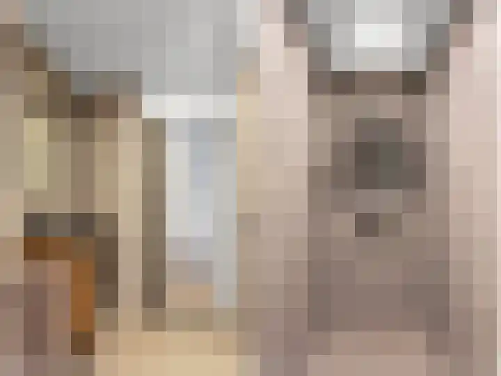 It Leech 12 Zurich thumbnail 19