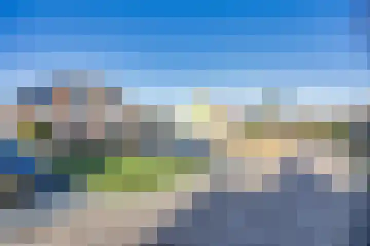 It Leech 12 Zurich thumbnail 30