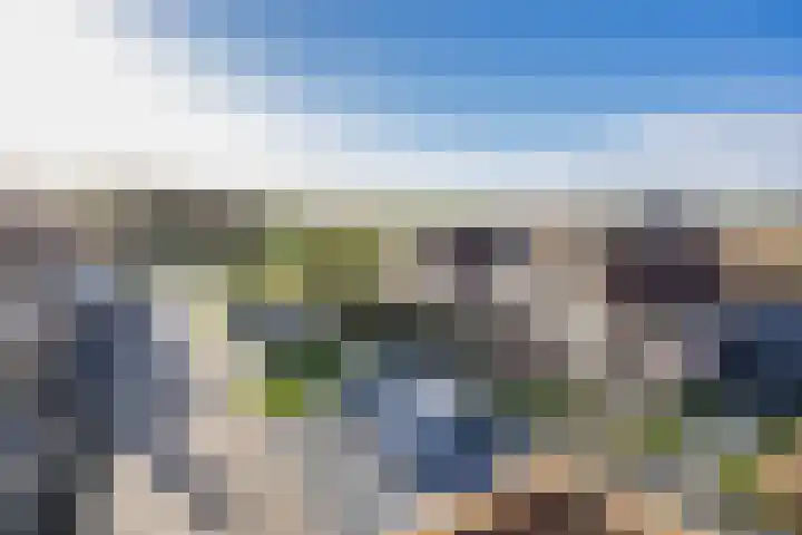 It Leech 12 Zurich thumbnail 33