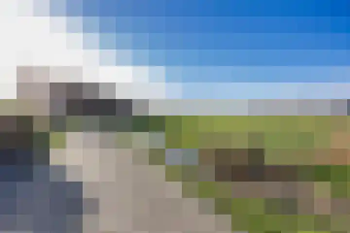 It Leech 12 Zurich thumbnail 34