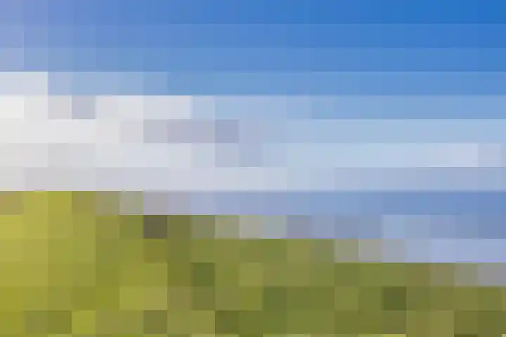 It Leech 12 Zurich thumbnail 36