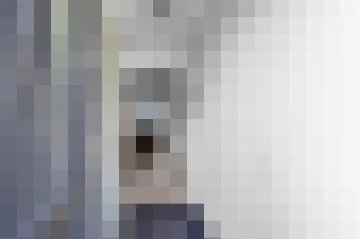 It Leech 12 Zurich thumbnail 6