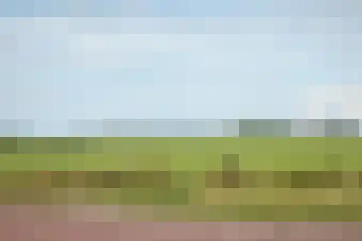 It Mêd 17 Makkum thumbnail 14