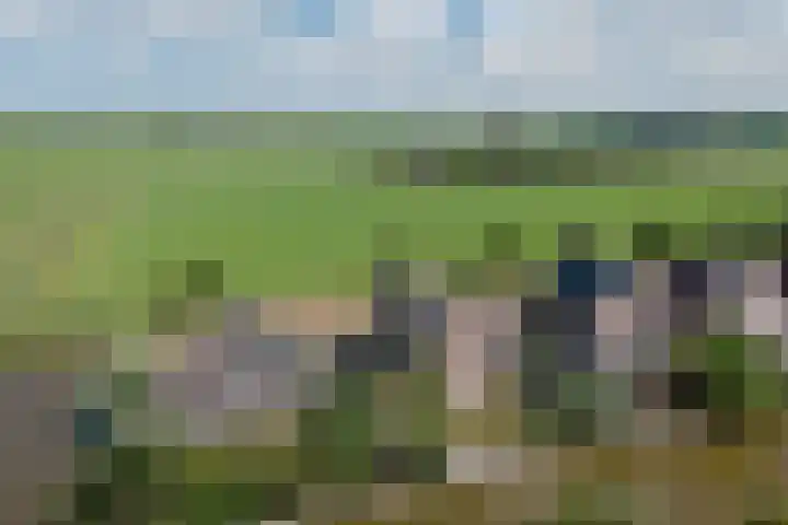 It Mêd 17 Makkum thumbnail 38