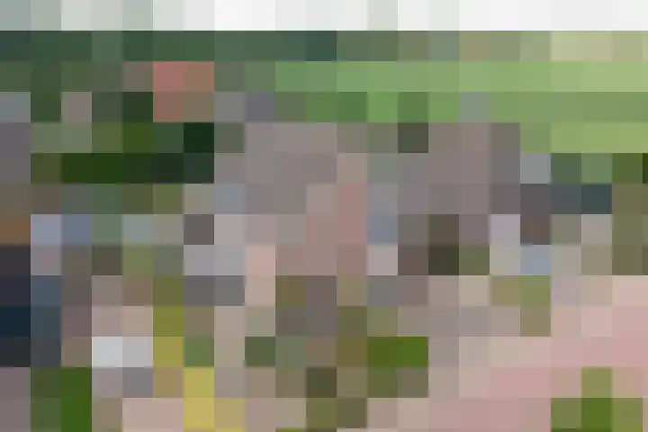 It Mêd 17 Makkum thumbnail 7