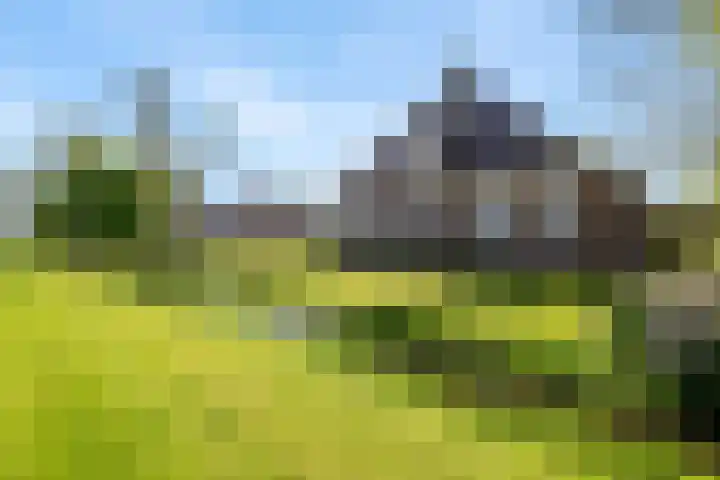 It Noard 75 Broek thumbnail 45