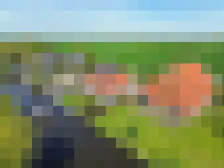 It Noard 75 Broek thumbnail 5