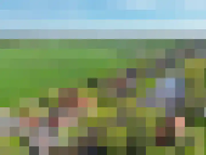 It Noard 75 Broek thumbnail 8
